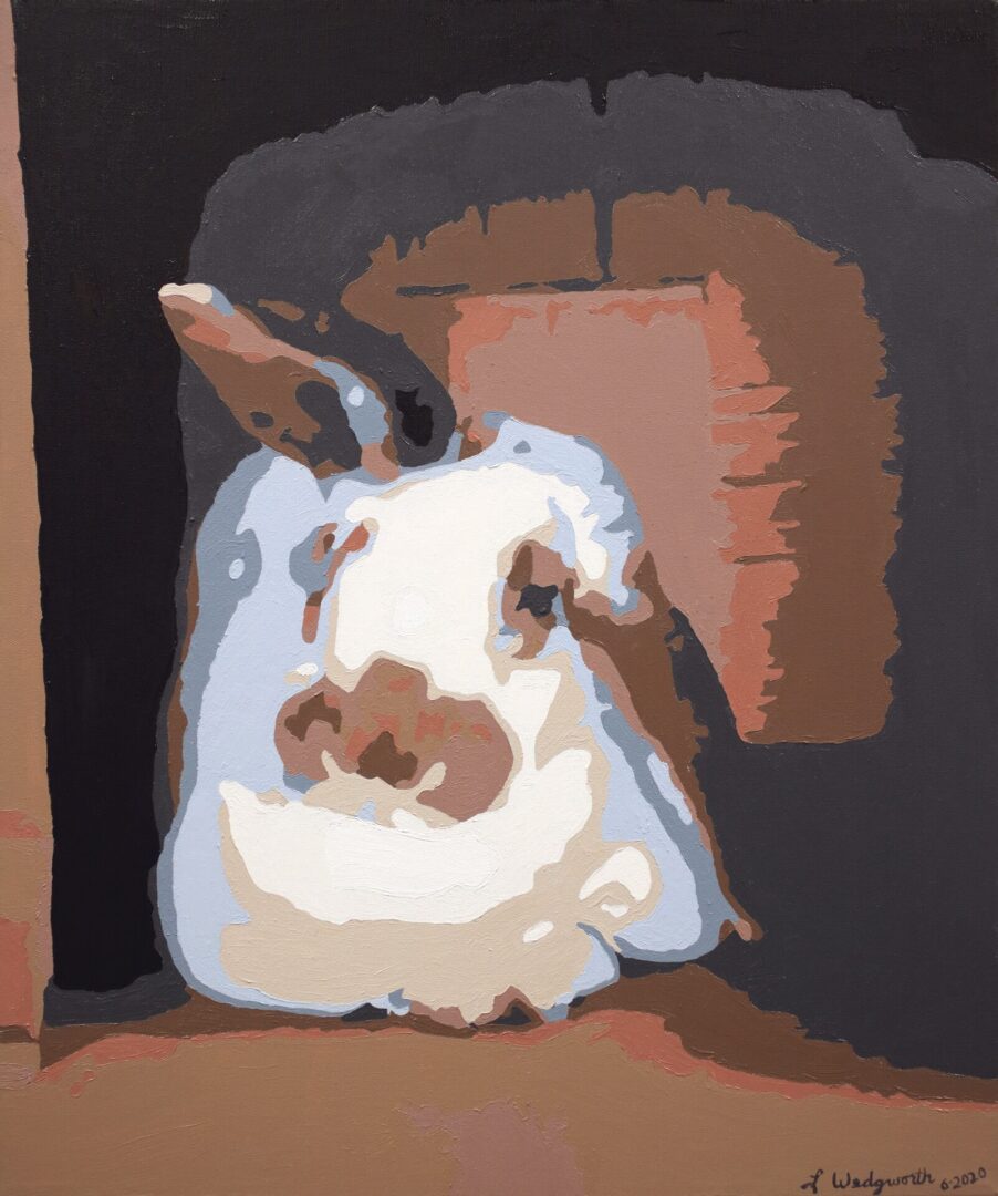 Rabbit in a Box